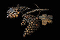 Grape Vine Features